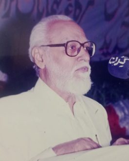 Muhammad Shabbir Arain